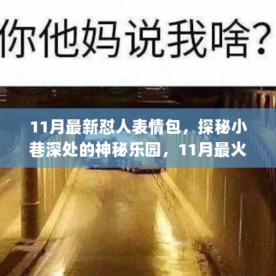 探秘神秘乐园，揭秘11月最火怼人表情包发源地及最新表情包盘点