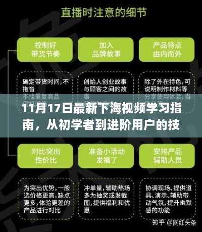 11月17日最新下海视频学习指南，从初学者到进阶用户的技能掌握之路