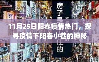 阳春疫情下的神秘宝藏，探寻隐藏街角小店的独特魅力