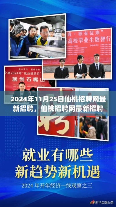 2024年11月25日仙桃招聘网最新招聘，仙桃招聘网最新招聘动态——聚焦职场机遇，探寻未来职业之路（2024年11月25日）