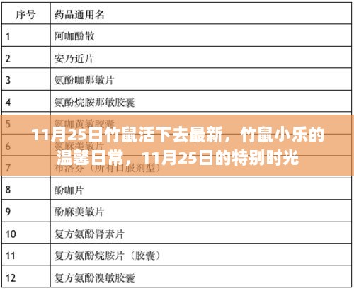 竹鼠小乐的温馨日常，特别时光的竹鼠生存记（11月25日更新）