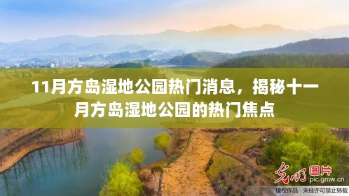 揭秘十一月方岛湿地公园的热门焦点与消息速递