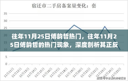 往年11月25日傅韵哲现象深度剖析，正反两面观点与个人立场探讨