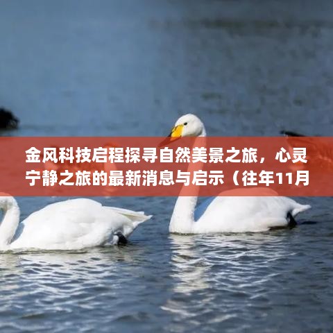 金风科技启程探寻自然美景之旅，心灵宁静之旅的最新消息与启示（往年11月17日）