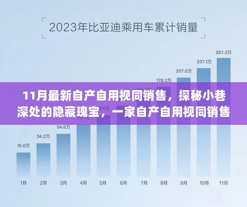 探秘小巷深处的独特自产自用视同销售小店，揭秘11月最新隐藏瑰宝