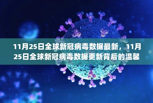 11月25日全球新冠病毒数据最新，11月25日全球新冠病毒数据更新背后的温馨日常故事