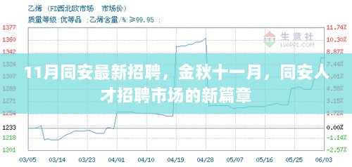 11月同安最新招聘启幕，金秋人才招聘市场新篇章