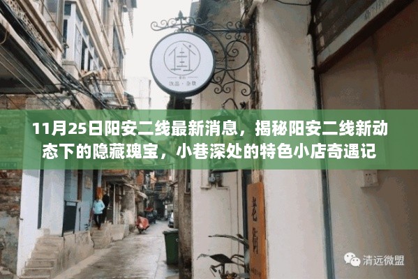 揭秘阳安二线最新动态，小巷特色小店奇遇记（11月25日更新）