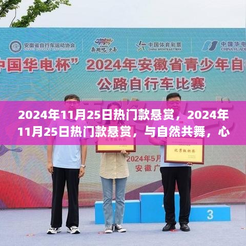 2024年11月25日热门款悬赏，2024年11月25日热门款悬赏，与自然共舞，心灵旅行的奇妙探险