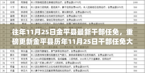 金平县历年11月25日干部任免揭秘及最新任免信息重磅发布！