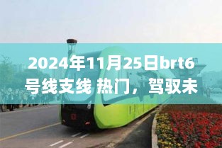 驾驭未来之旅，BRT6号线支线开启奇妙成长旅程的热门轨道