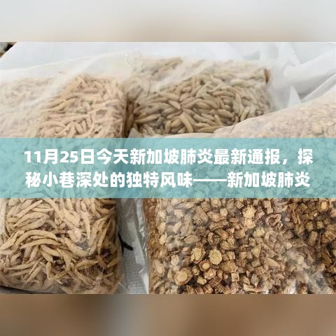 新加坡肺炎最新通报下的隐藏瑰宝，小巷深处的独特风味探索