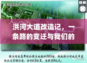 洪河大道改造记，一条路的变迁与我们的故事——最新进展11月17日纪实