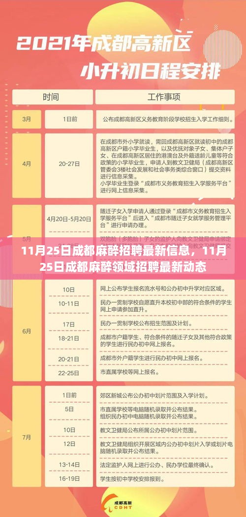 11月25日成都麻醉招聘最新信息，11月25日成都麻醉领域招聘最新动态