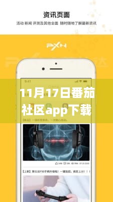 11月17日番茄社区app下载指南及详细评测介绍