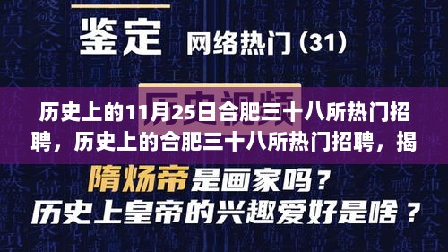 揭秘合肥三十八所招聘热潮背后的独特魅力，历史上的十一月二十五日回顾