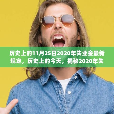 揭秘历史时刻，揭秘2020年失业金最新规定背后的故事与影响，历史上的今天回顾