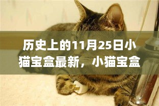 历史上的11月25日，小猫宝盒最新更新指南与特别版发布