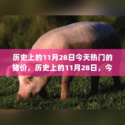 历史上的11月28日今天热门的猪价，历史上的11月28日，今日猪价概览