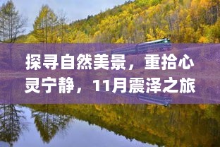 探寻自然美景，重拾心灵宁静，11月震泽之旅的奇妙冒险