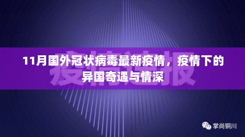 11月国外冠状病毒最新疫情，疫情下的异国奇遇与情深