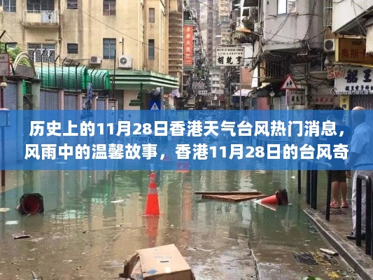 香港11月28日台风日，风雨中的故事与奇遇记