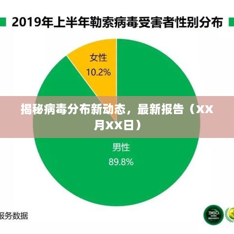 揭秘病毒分布新动态，最新报告（XX月XX日）