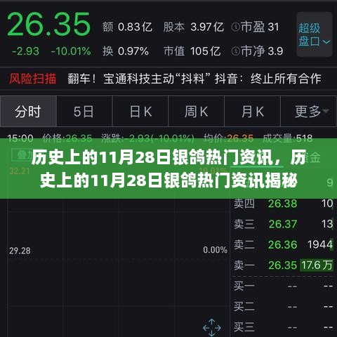 揭秘历史上的银鸽热门资讯，揭秘11月28日的重大事件回顾