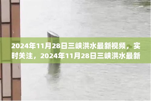 2024年11月28日三峡洪水最新视频，实时关注，2024年11月28日三峡洪水最新动态视频解析