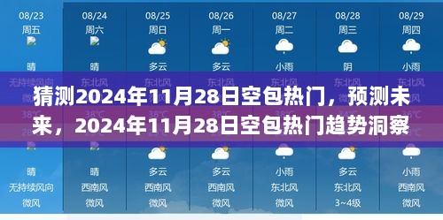 2024年11月28日空包热门趋势洞察与预测