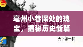 亳州小巷深处的瑰宝，揭秘历史新篇章，最新数据尽在十一月十七日