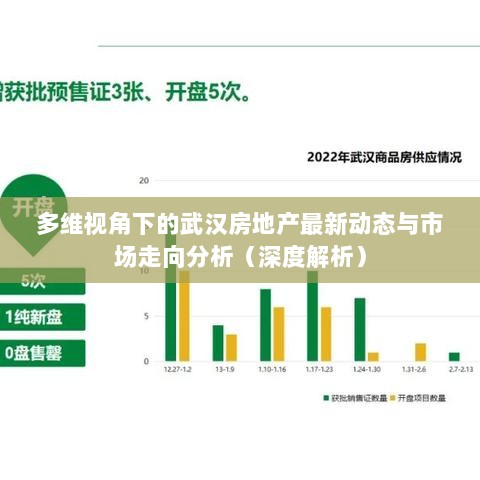 多维视角下的武汉房地产最新动态与市场走向分析（深度解析）