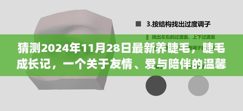 睫毛成长记，友情、爱与陪伴的温馨养睫趣事（2024年11月28日最新）