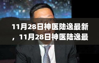 揭秘陆逸神医医术传奇，最新动态与揭秘报道（11月28日更新）