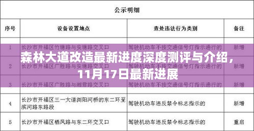 森林大道改造最新进度深度测评与介绍，11月17日最新进展