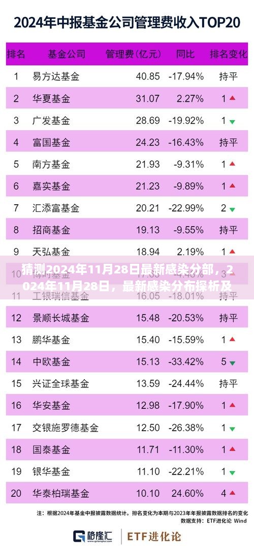 2024年11月28日最新感染分布探析，预测、影响与时代挑战