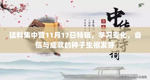 猛料集中营11月17日特辑，学习变化，自信与成就的种子生根发芽