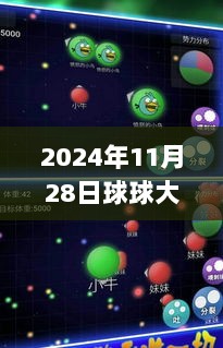 2024年11月 第101页