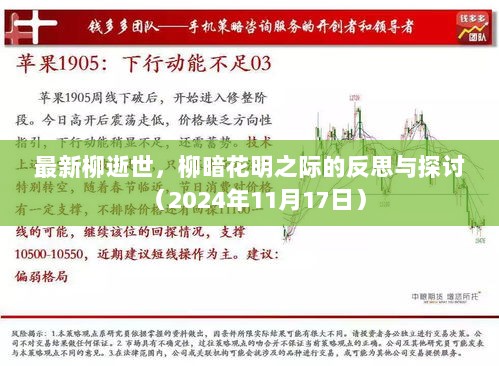 最新柳逝世，柳暗花明之际的反思与探讨（2024年11月17日）