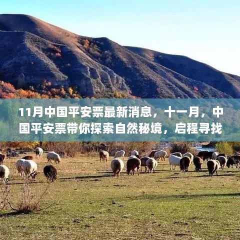 中国平安票十一月探索自然秘境之旅，启程寻找内心平静