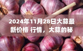 大蒜最新行情揭秘，友情与陪伴的温馨故事，2024年大蒜市场观察