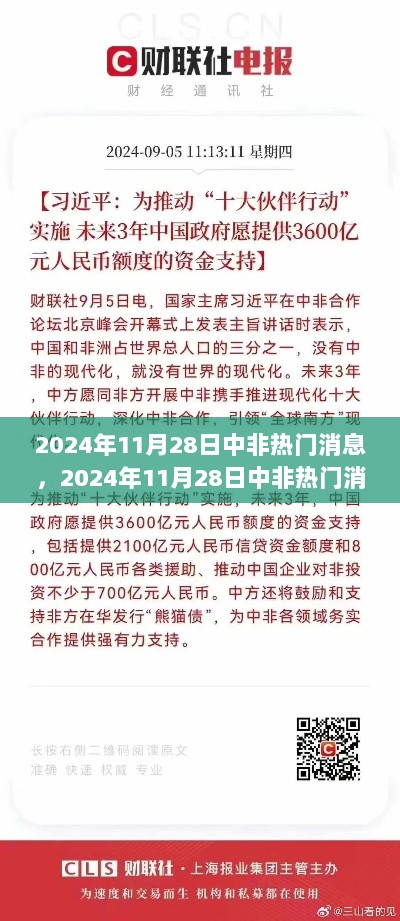 中非热门消息深度解析，聚焦2024年11月28日，某某观点探析