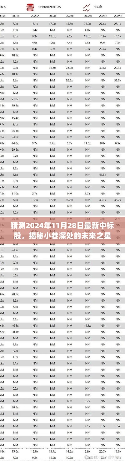 揭秘小巷深处的未来之星，2024年11月28日中标股传奇展望。