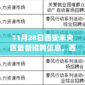 11月28日西安未央区最新招聘信息汇总，岗位大揭秘与抢鲜体验