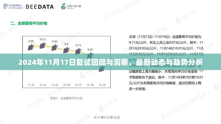 2024年11月17日复试回顾与洞察，最新动态与趋势分析