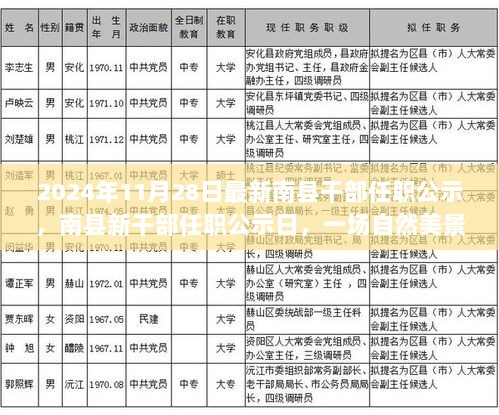 2024年11月 第70页