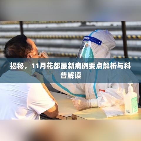 揭秘，11月花都最新病例要点解析与科普解读