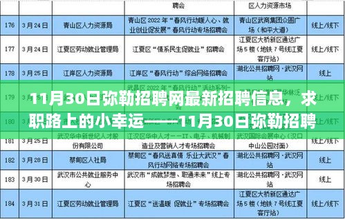 11月30日弥勒招聘网，求职路上的最新招聘信息与小幸运故事