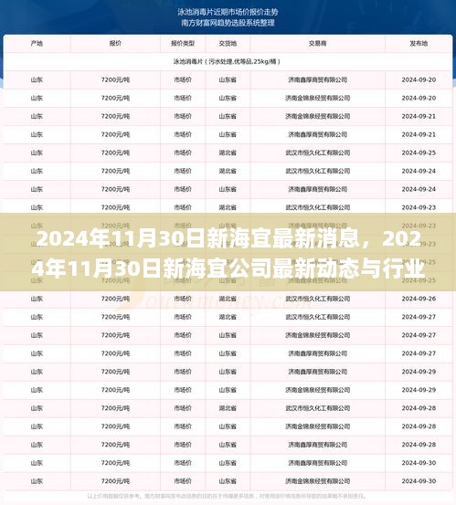 新海宜公司最新动态与行业展望，截至2024年11月30日的最新消息