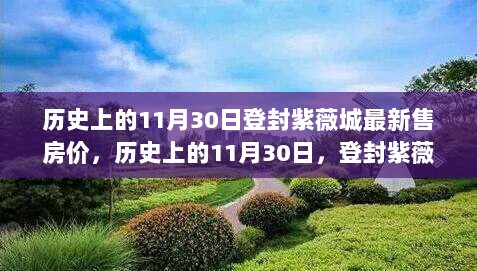 历史上的11月30日登封紫薇城最新售房价，历史上的11月30日，登封紫薇城房价变迁背后的励志故事与自信之光